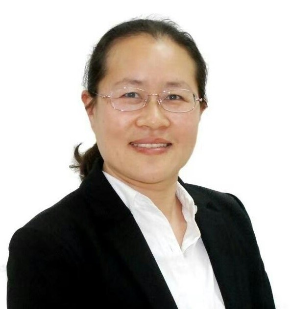 Professor Haiping Yang